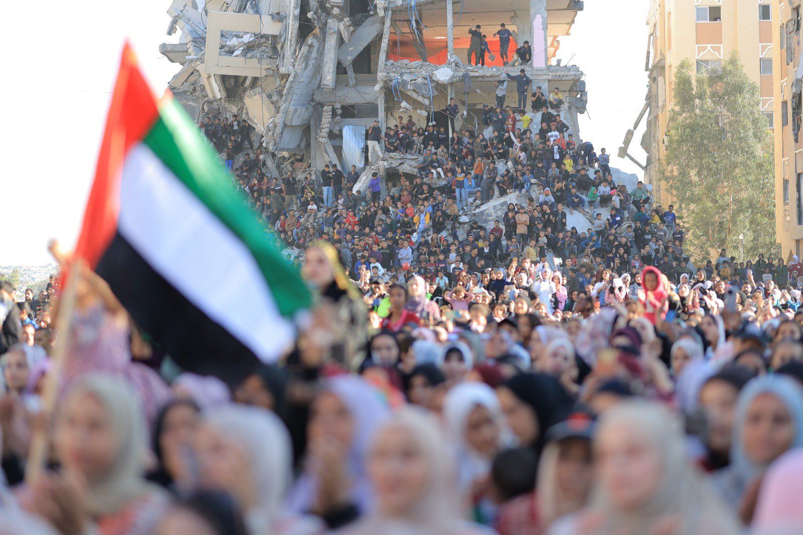 بدعم من وكالة الإمارات للمساعدات الدولية .. "الفارس الشهم 3" تحتفل ب 54 عريساً وعروساً من غزة