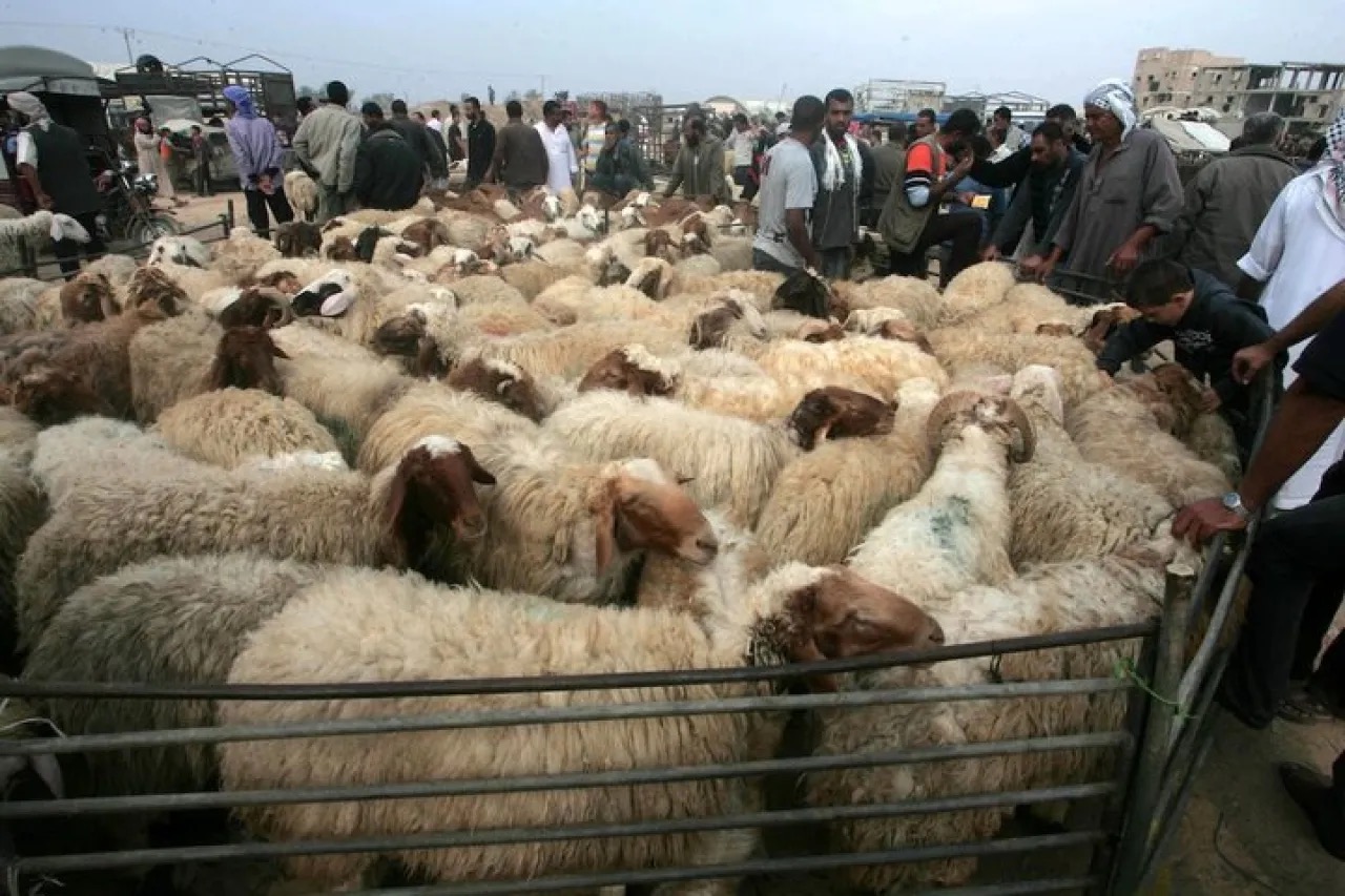 صورة حول : وفاة مواطن بسوق الحلال في مأدبا بسبب الزحام ! وفاة مواطن بسوق الحلال في مأدبا بسبب الزحام !