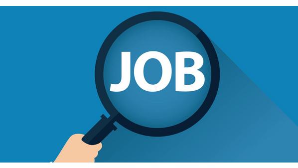 صورة حول : وظائف شاغرة في مؤسسات حكومية وظائف شاغرة في مؤسسات حكومية