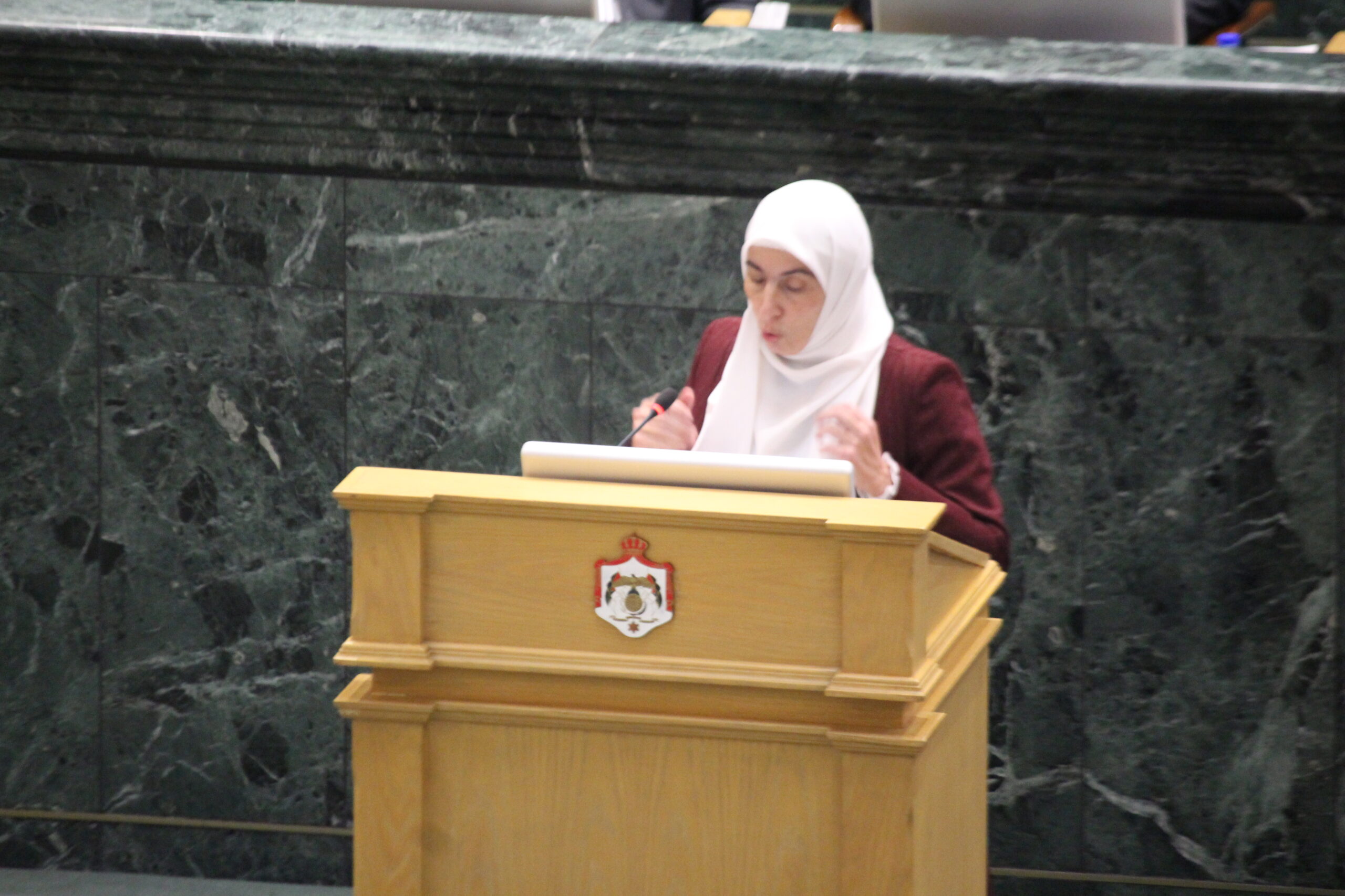 بالفيديو… طهبوب تصف موازنة 2026 بالانكماشية وتشبهها بموازنة "للألاند"