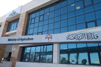 تحسن الموسم المطري يعزز الزراعة والتقنيات الرقمية تصل للمزارعين