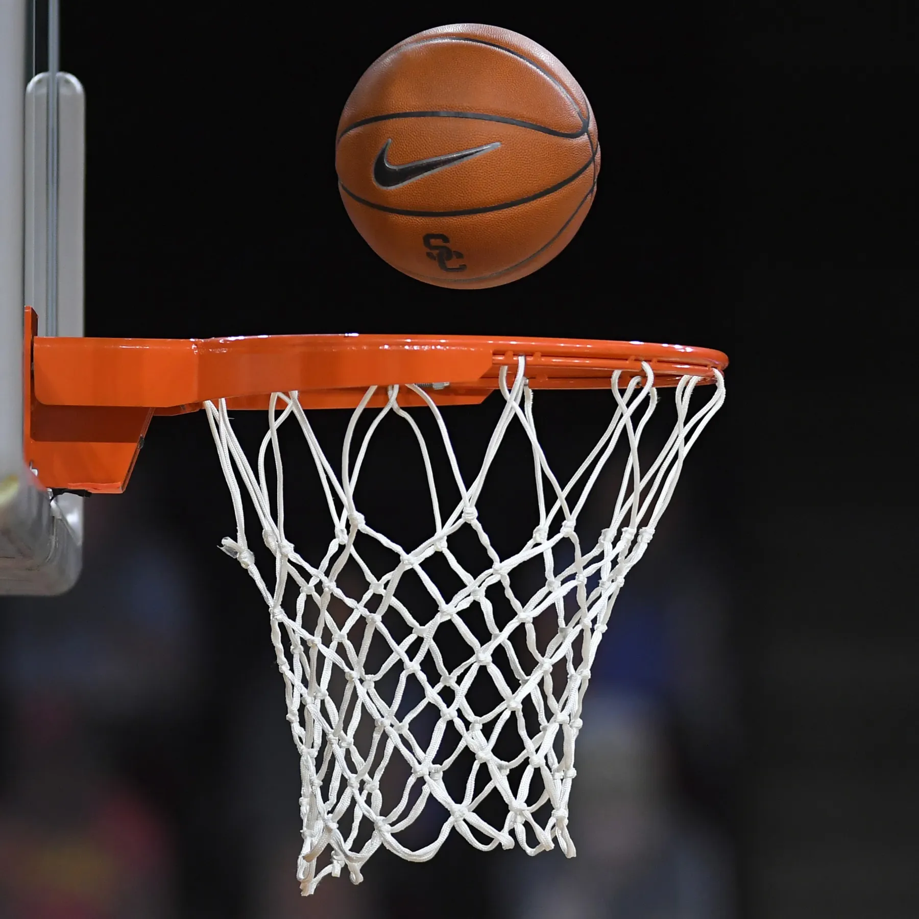 صورة حول : تأجيل دوري السلة الأردني احتفالاً بإنجاز المنتخب الوطني تأجيل دوري السلة الأردني احتفالاً بإنجاز المنتخب الوطني