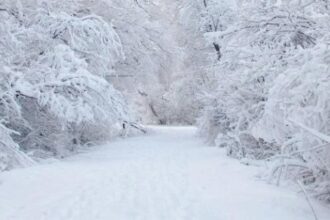 الأرصاد تحذر: أمطار قادمة وثلوج غير متوقعة هذا الأسبوع