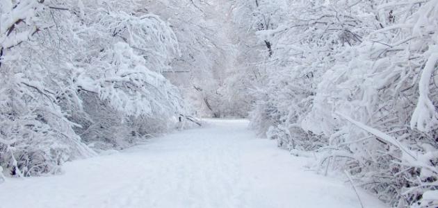 صورة حول : الأرصاد تحذر: أمطار قادمة وثلوج غير متوقعة هذا الأسبوع الأرصاد تحذر: أمطار قادمة وثلوج غير متوقعة هذا الأسبوع