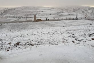 الأمن العام يوجه إرشادات للسائقين لتعزيز السلامة المرورية خلال هطول الأمطار