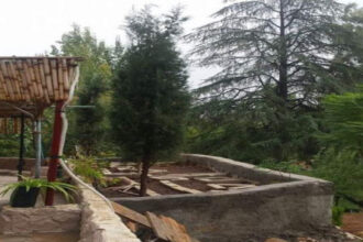 وزارة الزراعة تحول مشتل عين جِمَلا لإنتاج أشتال الزينة ضمن استراتيجية 2026