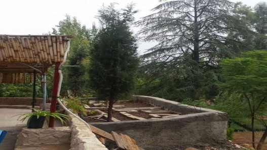 صورة حول : وزارة الزراعة تحول مشتل عين جِمَلا لإنتاج أشتال الزينة ضمن استراتيجية 2026 وزارة الزراعة تحول مشتل عين جِمَلا لإنتاج أشتال الزينة ضمن استراتيجية 2026