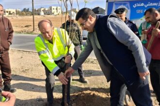 بلدية بلعما تطلق حملة لزراعة 10 آلاف شجرة لتعزيز الغطاء النباتي وتحسين البيئة