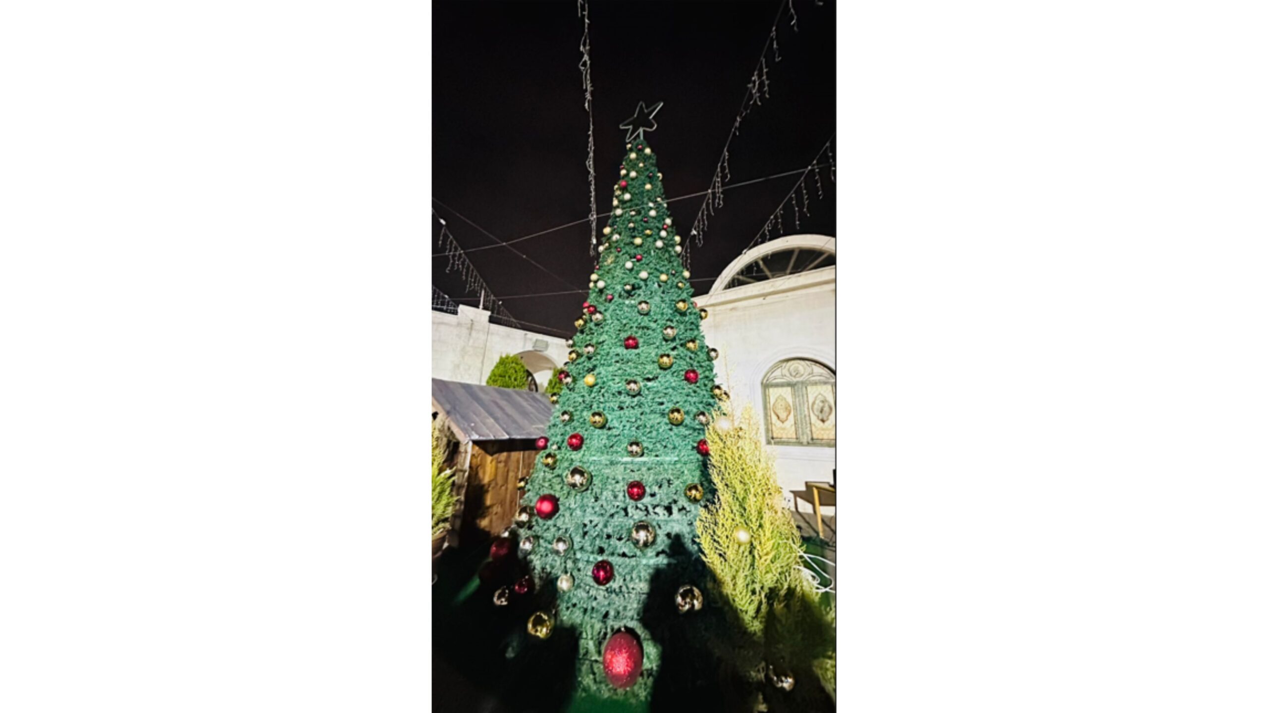 صورة حول : وزارة السياحة تضيء شجرة عيد الميلاد في كنيسة سيدة الجبل بعجلون وزارة السياحة تضيء شجرة عيد الميلاد في كنيسة سيدة الجبل بعجلون