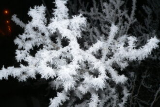 الأرصاد الجوية تحذر من الانجماد والصقيع على المرتفعات الجنوبية والبادية