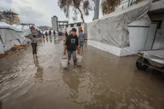 الأمم المتحدة تعلن انتهاء المجاعة في غزة مع بقاء الوضع الغذائي حرجًا