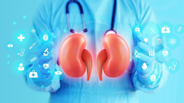 صورة حول : مرض الكلى: الكشف المبكر أساس الوقاية والحفاظ على الصحة مرض الكلى: الكشف المبكر أساس الوقاية والحفاظ على الصحة