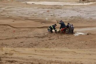 وزارة الإدارة المحلية تعتمد خططًا استباقية لتقوية البنية التحتية