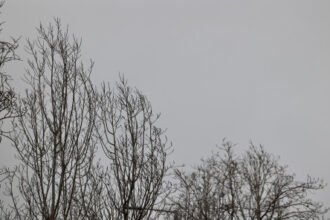 الأرصاد تحذر من استمرار الأمطار الغزيرة وانخفاض درجات الحرارة في مختلف مناطق المملكة