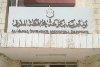 ارتفاع معدل الهطول المطري في المفرق يعزز موسم الزراعة والمواشي