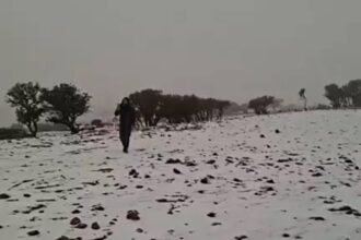 ثلوج الموسم الأول تغطي مرتفعات الشوبك اليوم "صور"