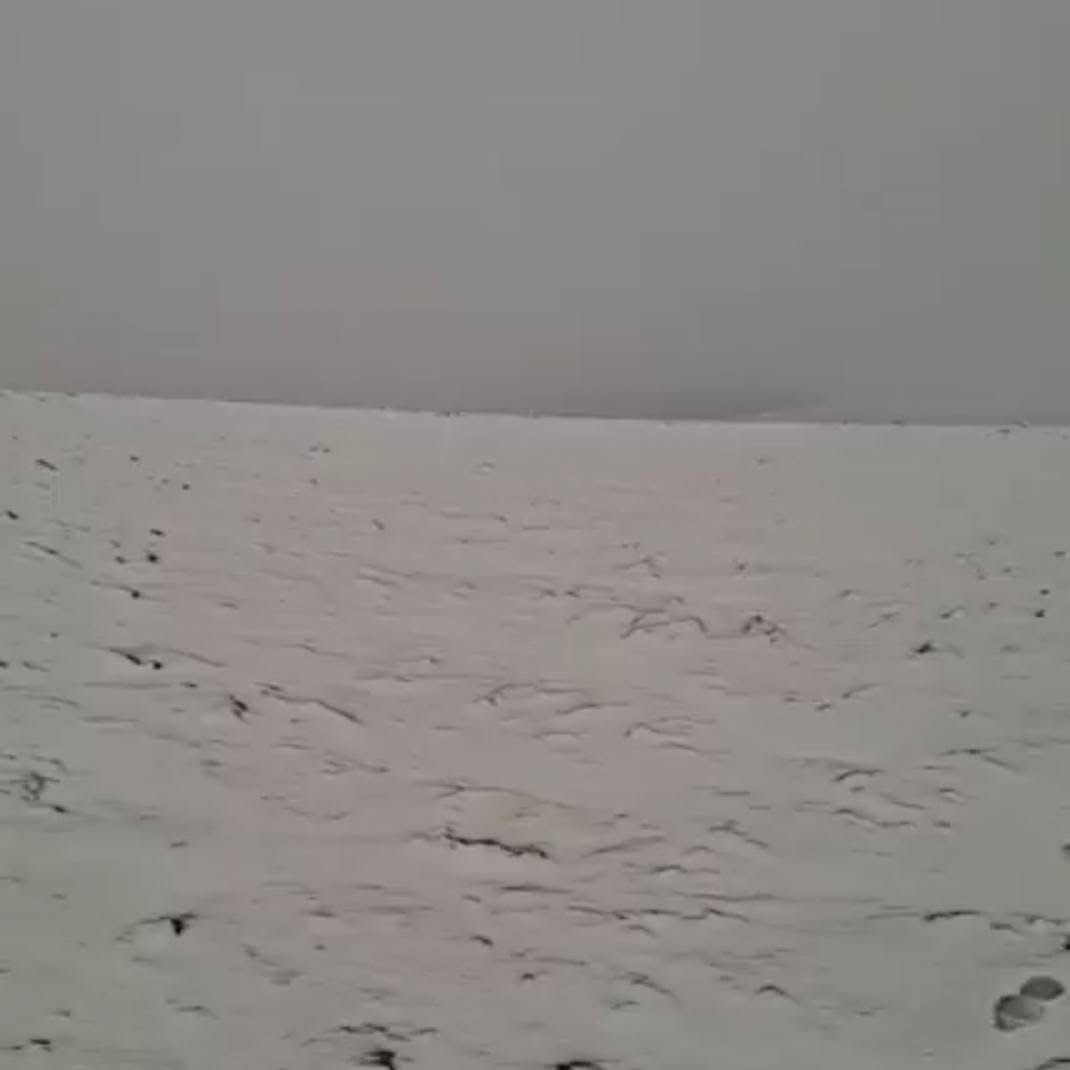 ثلوج الموسم الأول تغطي مرتفعات الشوبك اليوم "صور"