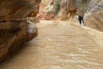 البترا تؤكد جاهزيتها لمواجهة حالة عدم الاستقرار الجوي