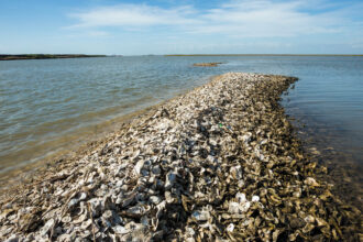 تحطم طائرة بحرية مكسيكية يخلف خمسة قتلى