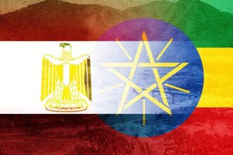 الخارجية الإثيوبية تهاجم مصر وبكري يرد بقوة