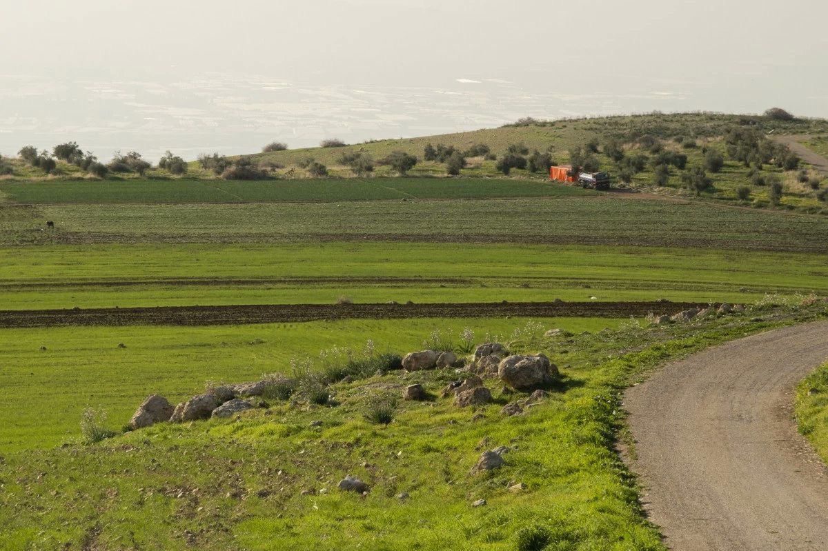 الزراعة: الأمطار الأخيرة تبشّر بموسم زراعي أفضل وتحسّن الغطاء النباتي