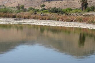 عاجل | سقوط ثلاثة من عائلة واحدة في بركة مياه بالقسطل