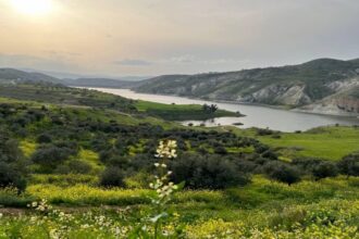 زراعة الأغوار الشمالية تحذر المزارعين من المنخفض المتوقع