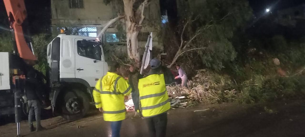 صورة حول : بلدية شرحبيل تزيل شجرة سقطت على طريق الأغوار الدولي بلدية شرحبيل تزيل شجرة سقطت على طريق الأغوار الدولي