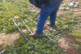 المياه تضبط اعتداءات على خطوط رئيسية في الزرقاء وعمّان وإربد