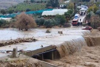 ارتفاع منسوب مياه سيل الزرقاء يغلق شارع جبة في جرش