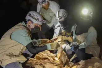 اكتشاف فهود محنطة طبيعيًا داخل كهوف سعودية