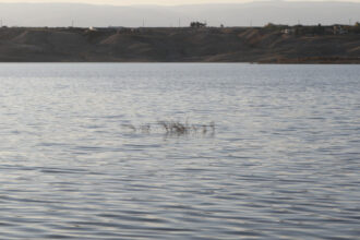 عاجل | بدء فيضان سد زرقاء ماعين لأول مرة