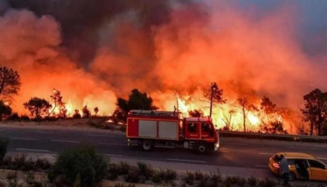 أستراليا تعلن حالة كارثة بسبب حرائق غابات في فيكتوريا