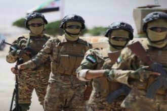 سوريا تعلن جاهزيتها لاستلام مخيم الهول وسجون داعش