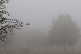 سلطة وادي الأردن تُفعّل الطوارئ لمواجهة المنخفض الجوي