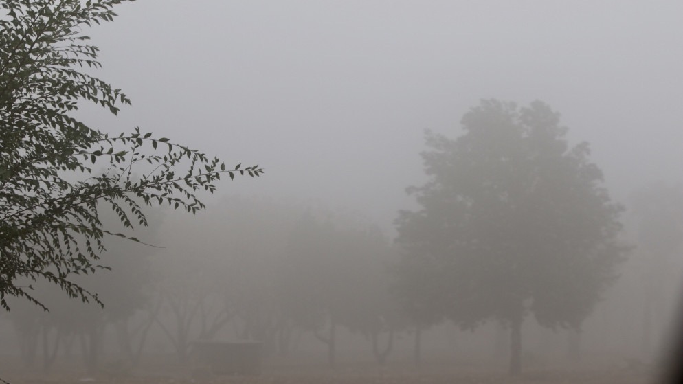 سلطة وادي الأردن تُفعّل الطوارئ لمواجهة المنخفض الجوي