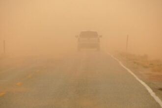 الأمن العام يوقف السير باتجاه حدود العمري