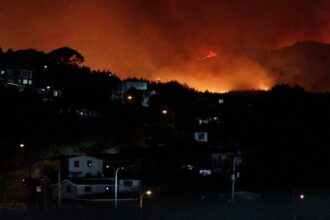 حرائق غابات تجبر على إجلاء 20 ألف شخص في تشيلي