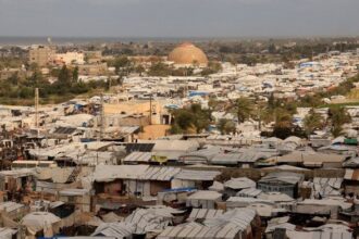 مصر تدرس دعوة ترامب للانضمام إلى "مجلس السلام" لغزة