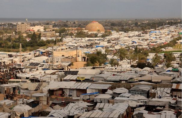 مصر تدرس دعوة ترامب للانضمام إلى "مجلس السلام" لغزة