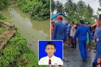 تمساح يقتل فتى 14 عاماً في نهر بإندونيسيا