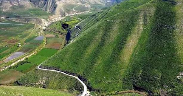 أمطار كانون الثاني: حياة جديدة للزراعة والمراعي في لواء بني كنانة