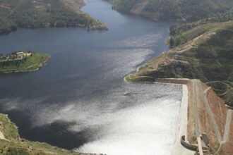 امتلاء سدود الأردن في الموسم المطري الحالي يعزز الأمن المائي والزراعي ويحفّز الاستدامة