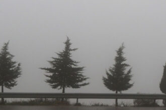 الأرصاد: تدنٍ شديد في مدى الرؤية بعجلون وأمطار غزيرة وتحذيرات من السيول