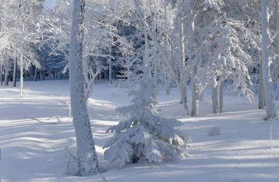 صورة حول : منخفض قطبي يضرب المملكة: أمطار غزيرة وسيول محتملة وثلوج على المرتفعات منخفض قطبي يضرب المملكة: أمطار غزيرة وسيول محتملة وثلوج على المرتفعات