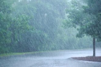 أمطار عجلون تنعش القطاع الزراعي وتبشّر بموسم إنتاجي واعد