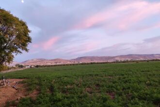 تحذير للمزارعين في الأغوار الشمالية: إجراءات وقائية ضد الصقيع الليلي