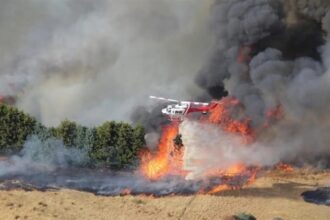 كارثة الغابات في فيكتوريا: آلاف رجال الإطفاء يكافحون ألسنة اللهب المدمرة