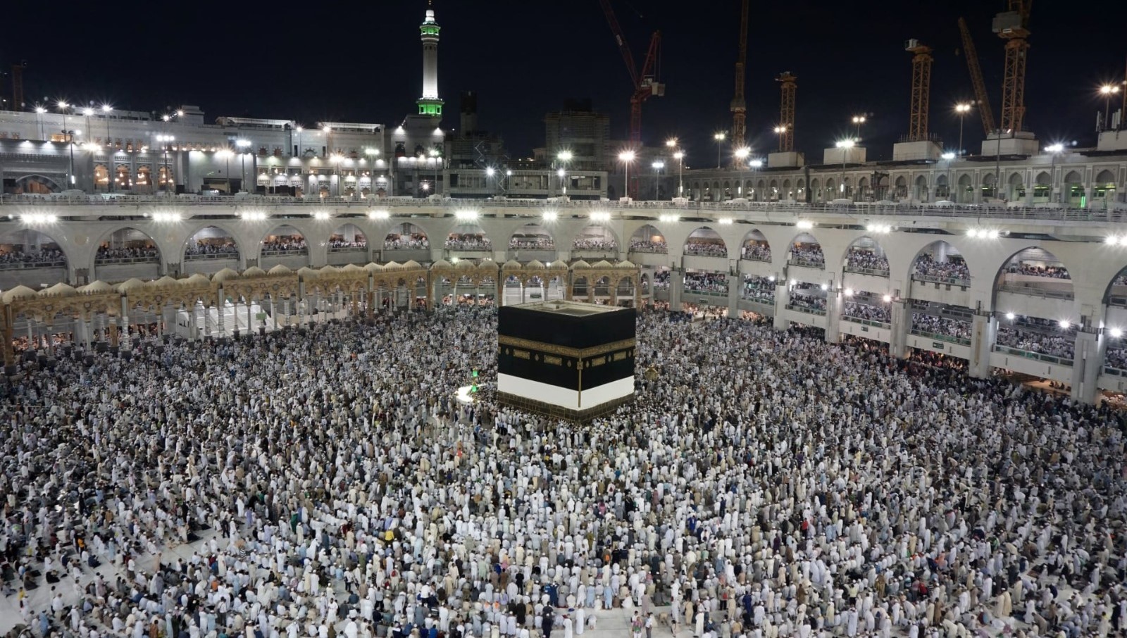 صورة حول : وزير الأوقاف يرفع بعثة حج المعلمين إلى 120 حاجًا لدعم الكوادر التعليمية وزير الأوقاف يرفع بعثة حج المعلمين إلى 120 حاجًا لدعم الكوادر التعليمية