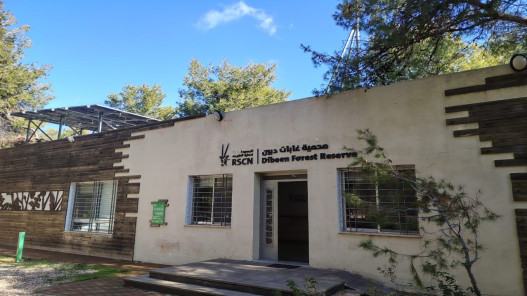 الملكية لحماية الطبيعة تطلق مشغل شموع في محمية غابات دبين لتعزيز التنمية المستدامة